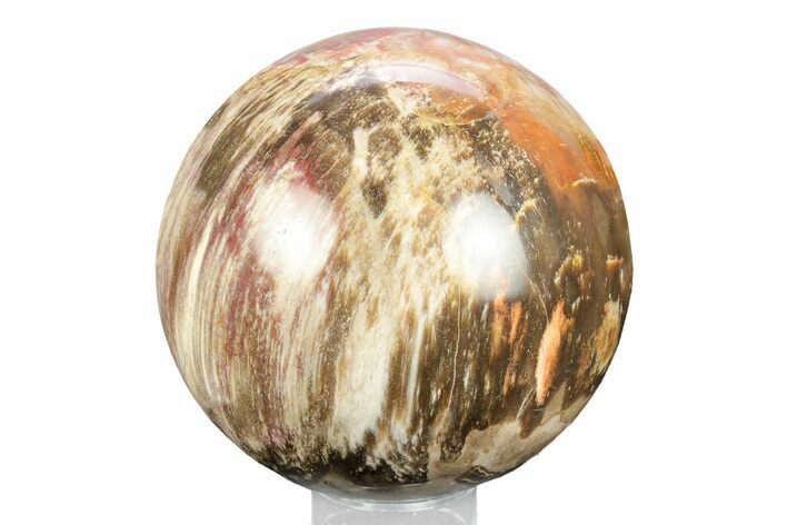Colorful Petrified Wood (Araucaria) Sphere - Madagascar #245547